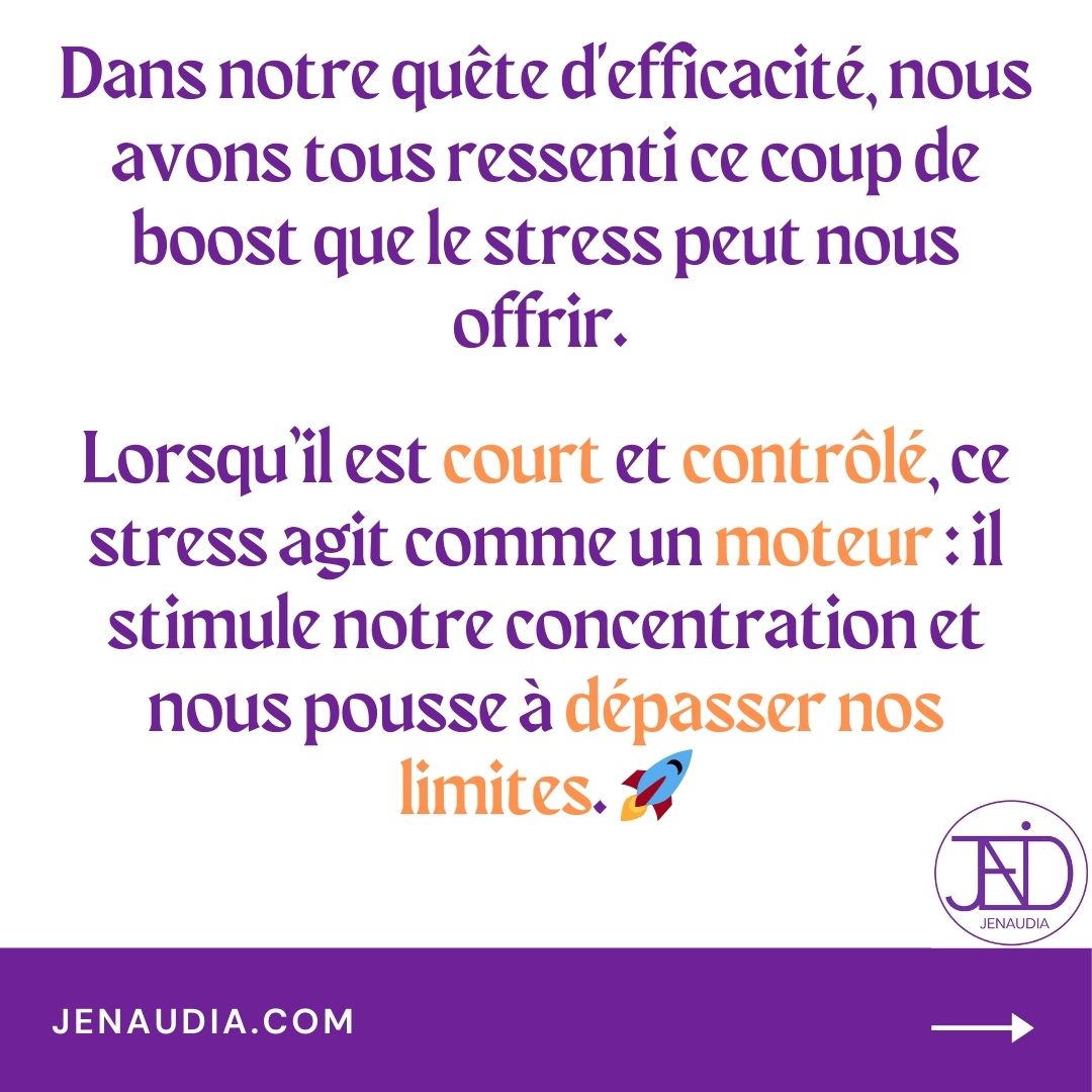 2_Stress & Efficacité_JENAUDIA