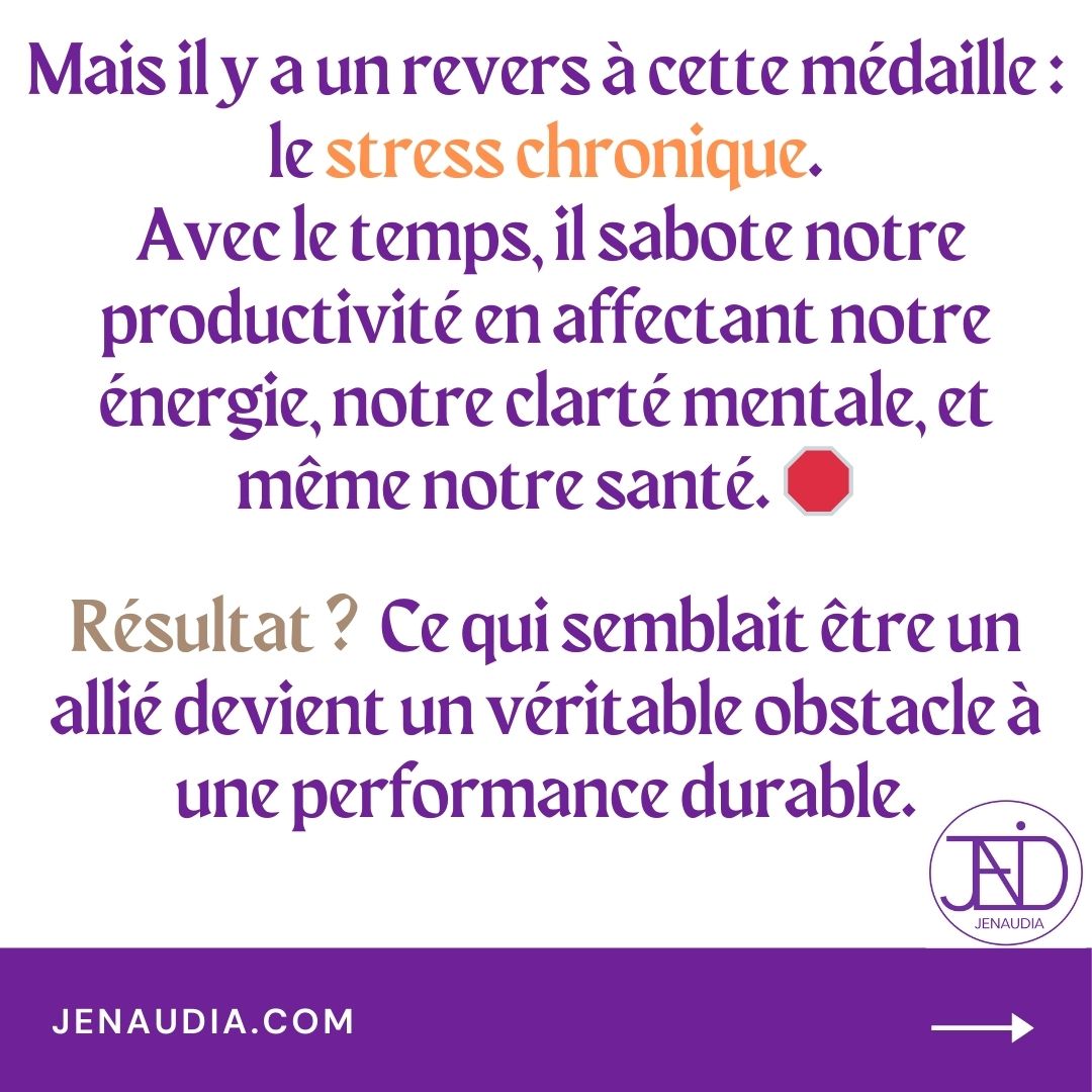 3_Stress & Efficacité_JENAUDIA