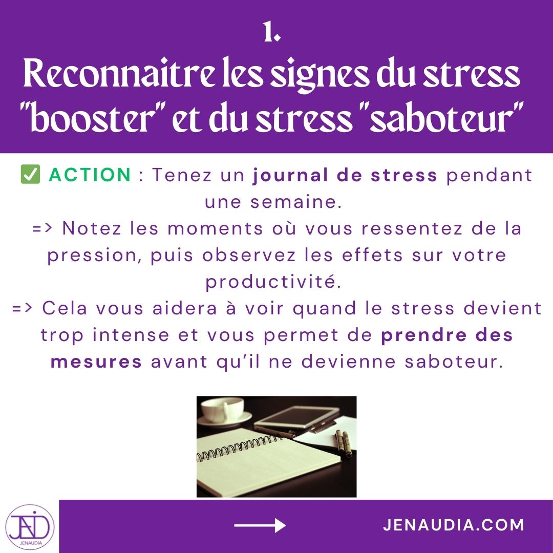 6_Stress & Efficacité_JENAUDIA